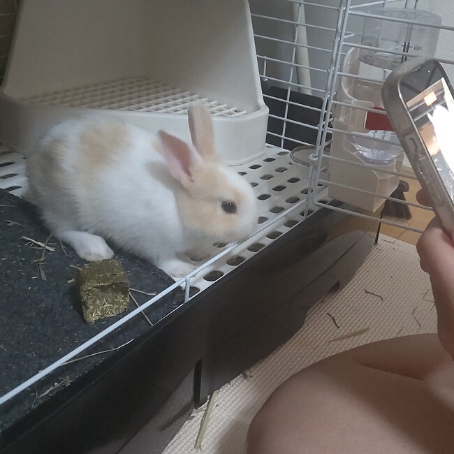 バニオ3のカバー写真