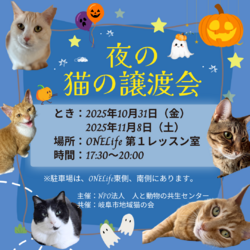 夜の猫の譲渡会 サムネイル1