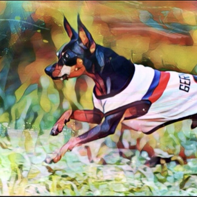 アロネロのカバー写真