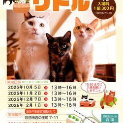 【大阪吹田】ネコの里親会リトル