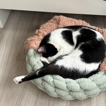 なぜか足を伸ばして寝る癖があります。なぜ？狭いのかな？？