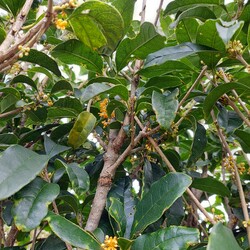 ちょっぴりほろ苦い９月(。>д<)②