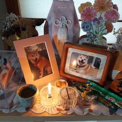 「ちょっぴりほろ苦い９月(。>д<)②」サムネイル2