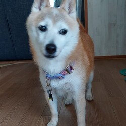 「ちょっぴりほろ苦い９月(。>д<)②」サムネイル3