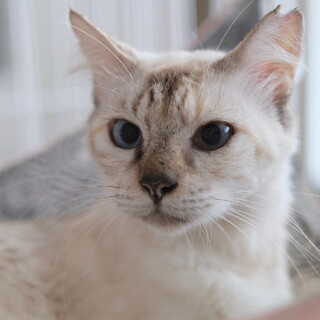 ぷいぷい♡家族ができました