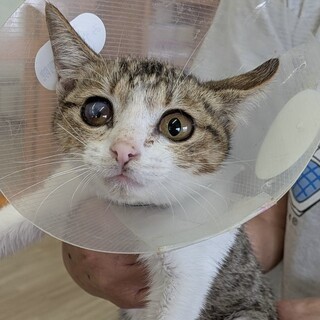 SOS！11月期限とっても甘えっ女子つぶ