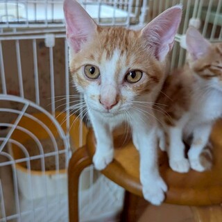 元気いっぱい⭐︎サザンくん