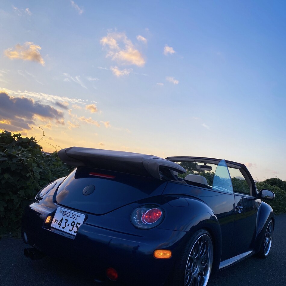 Uちゃんのカバー写真