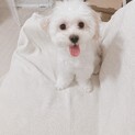 現在多数応募の為一時的に募集を停止しております。