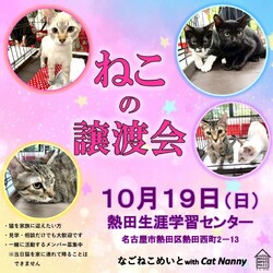 なごねこめいと　猫の譲渡会