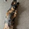の写真