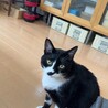 の写真
