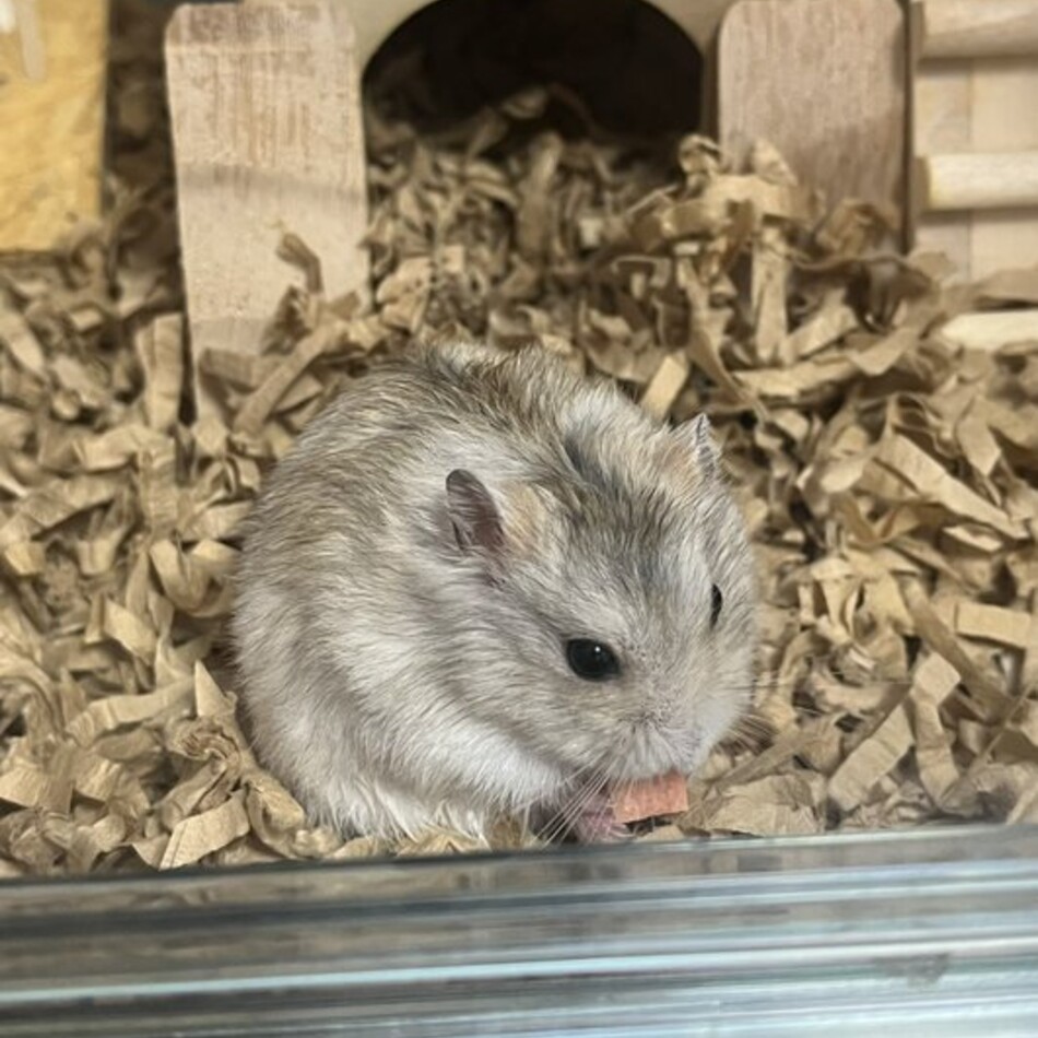 テリーのカバー写真