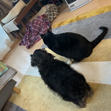 の写真