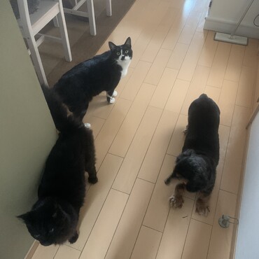 の写真