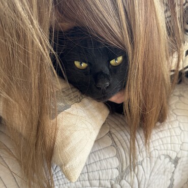 の写真