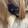 の写真