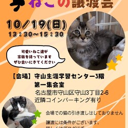ねこの譲渡会 in守山生涯学習センター