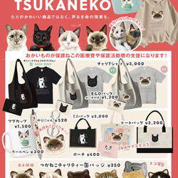 ○o*エコにゃん譲渡会*o○☆ サムネイル3