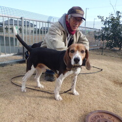 「モモちゃんが死にました」サムネイル2