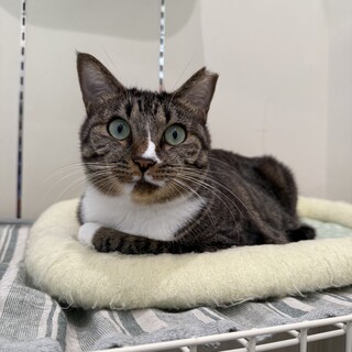 初心者でも安心。元気で明るい「あぶ美」ちゃん