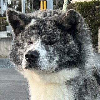 とっても男前です