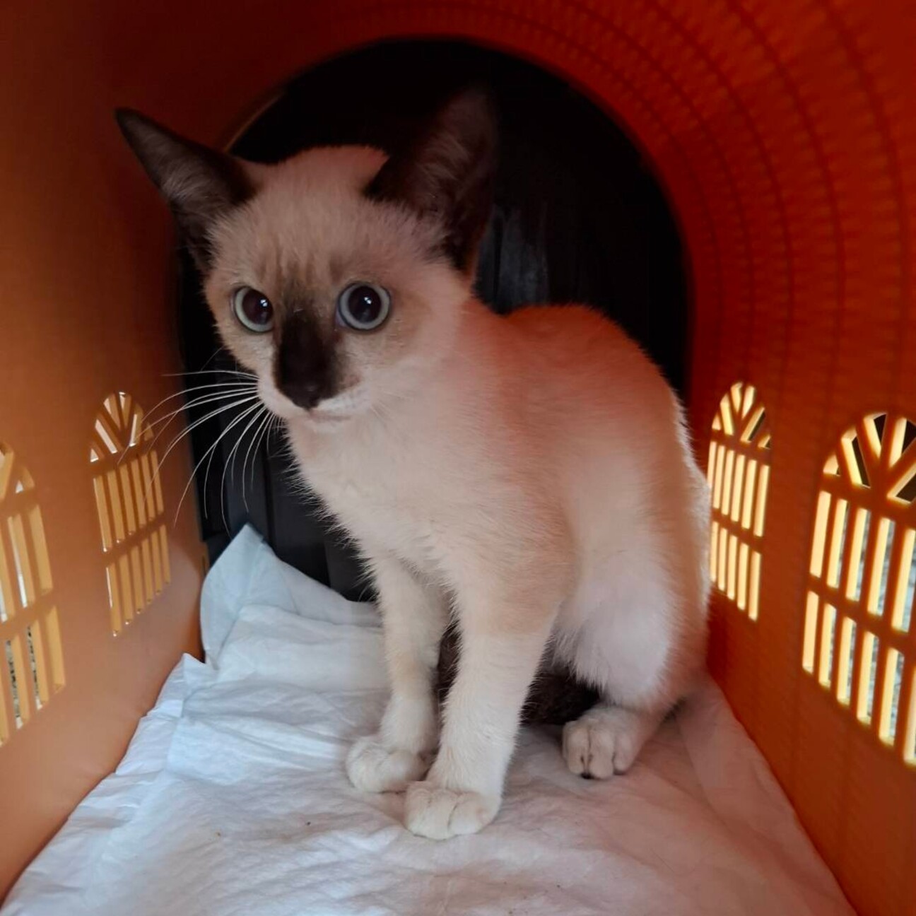 りちゃさま確認ページ♡ 2025.08.11