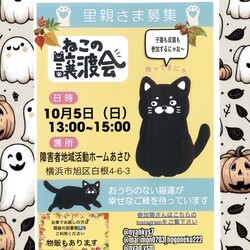 保護ねこ譲渡会in横浜市旭区