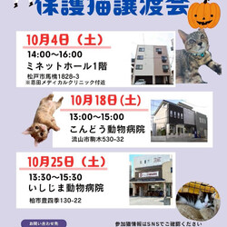 流山市♡保護猫譲渡会♡NPO法人にゃん2 サムネイル1