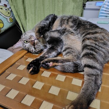 超絶甘えたモード突入！(笑)