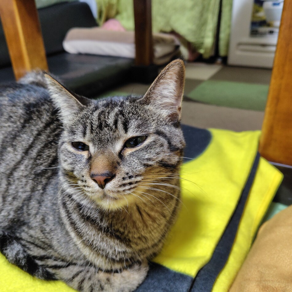 リクトのカバー写真