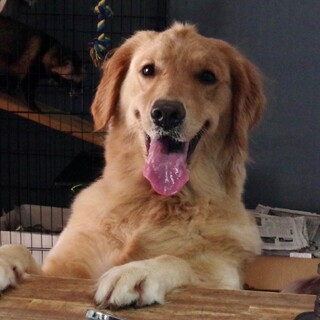 愛想満点！の女の子♡