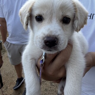 ぽんずくん(旧ジュンジュン)