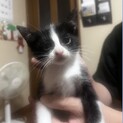 よろしくお願いします