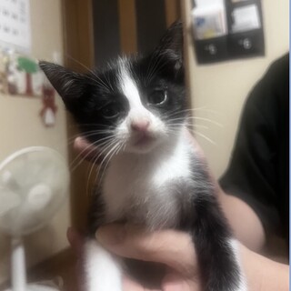 よろしくお願いします