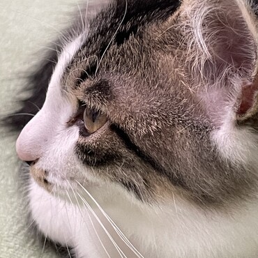 の写真