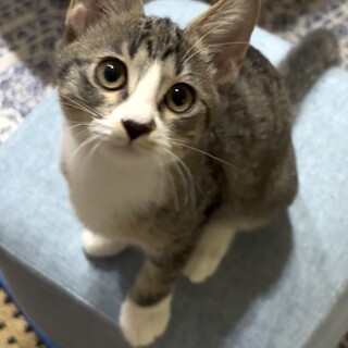ゴミ屋敷からのレスキュー、幸せになりたい