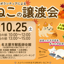 猫の譲渡会☆大須商店街近く