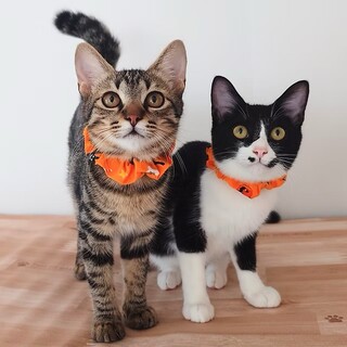 【10/5三田】初心者歓迎★天真爛漫&おっとりペア