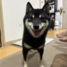 わたみー