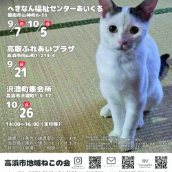 保護猫譲渡会@高浜市 サムネイル3
