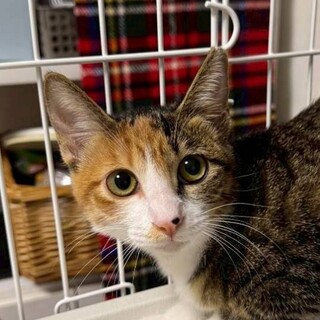 10/19カインズ浦和美園参加　うにちゃん