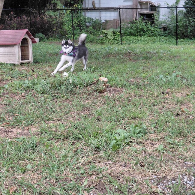 町中のカバー写真