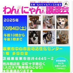 子猫ちゃん、子犬ちゃんも参加☆