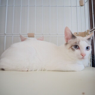 【トライアル決定!!】ロアです‪☆