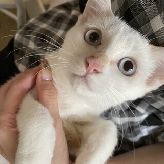 【トライアル決定!!】エマです♡