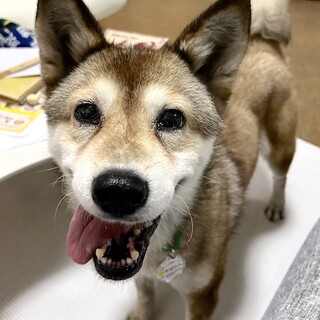 いつもニコニコ穏やか女子笑ちゃんです