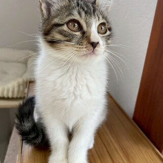 おっとり穏やかな《ミア》ちゃん