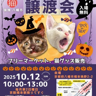 【10/12参加】しん君約 2ヶ月半、茶トラ・オス