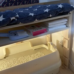 「まつりさん、揺れる４歳女子」サムネイル2